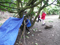 DSCF2029.JPG