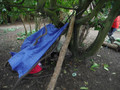 DSCF2049.JPG