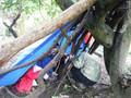 DSCF2051.JPG