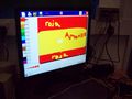 MFL_and_willow_photos_025.jpg