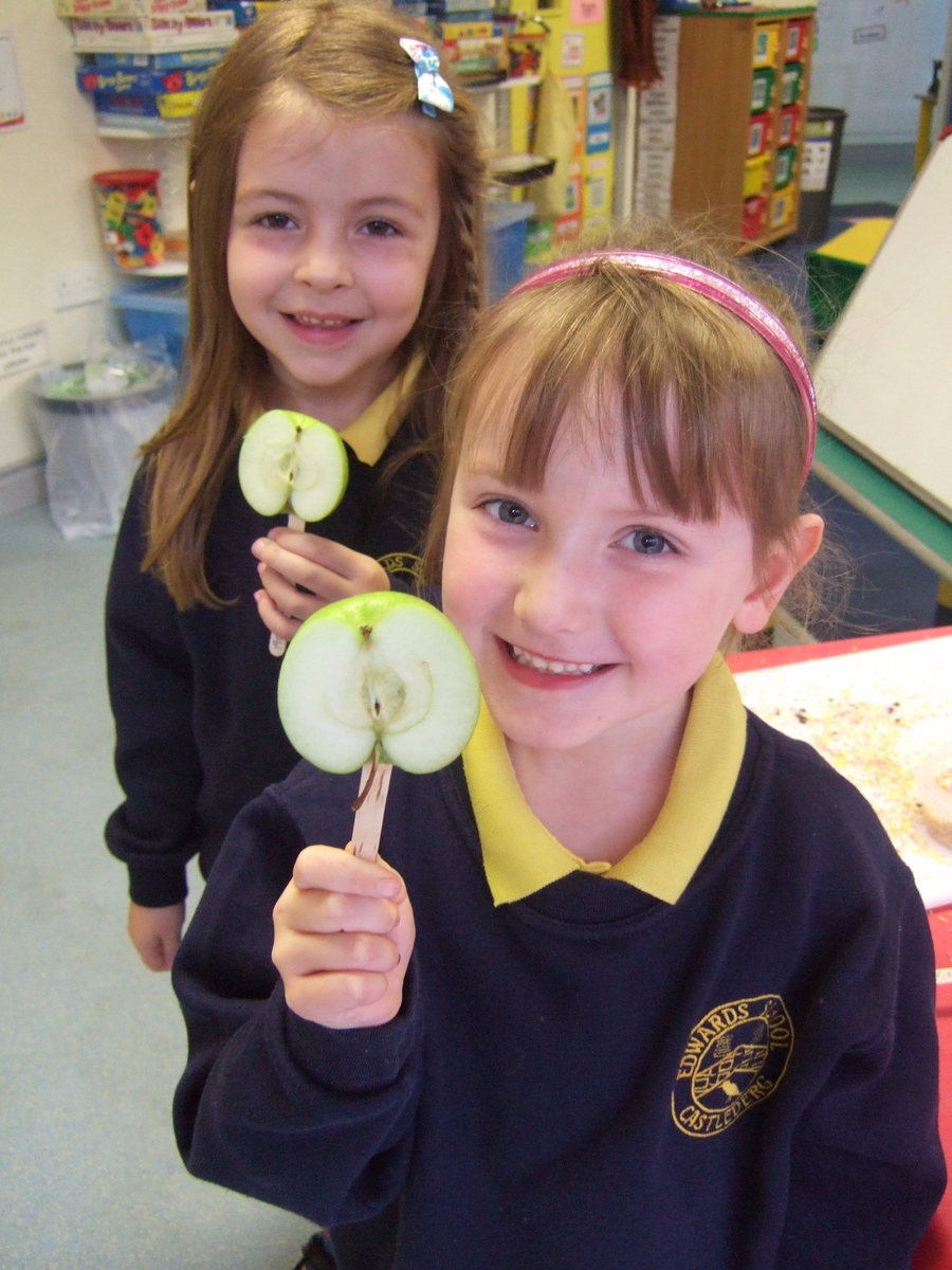 An apple to bite with a big juicy crunch!