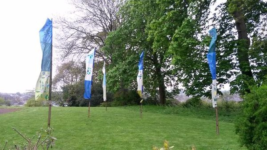 Some of our flags displayed in Ford Park for the community Flag Day.