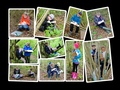 CollageIt.jpg