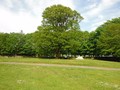 DSCF3083.jpg