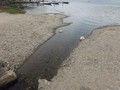 DSCF5225.jpg