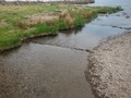 DSCF5238.jpg