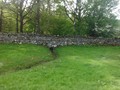 DSCF5257.jpg