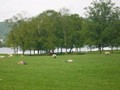 DSCF5260.jpg