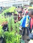 garden8.JPG