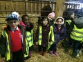 farm8.JPG
