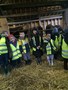 farm9.JPG