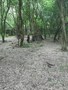 IMG_2447.JPG