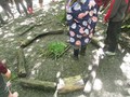 IMG_2464.JPG