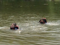 IMG_2964.JPG