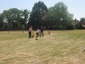 IMG_4305.JPG