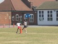 IMG_4331.JPG