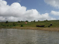 DSCF4271.JPG