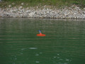 DSCF4278.JPG