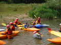DSCF4336.JPG