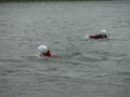 DSCF4390.JPG