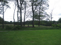 IMG_1161.JPG
