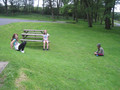 IMG_1166.JPG