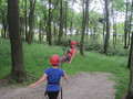 IMG_1185.JPG