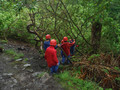 DSCF4411.JPG