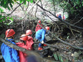 DSCF4417.JPG