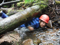 DSCF4423.JPG