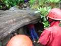 DSCF4425.JPG