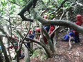 DSCF4432.JPG