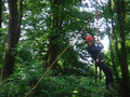 DSCF4433.JPG