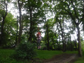 DSCF4434.JPG