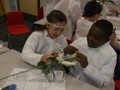 Science - dissecting a plant 1.JPG