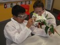 Science - dissecting a plant 2.JPG