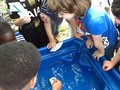 IMG_1080.JPG