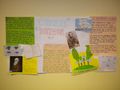Higher_RMPS_BS_Darwin_Posters_Oct_2011_009.jpg
