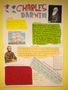 Higher_RMPS_BS_Darwin_Posters_Oct_2011_001.jpg