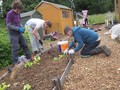 2432067IMG_0259.JPG