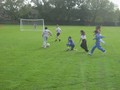 IMG_4733.JPG