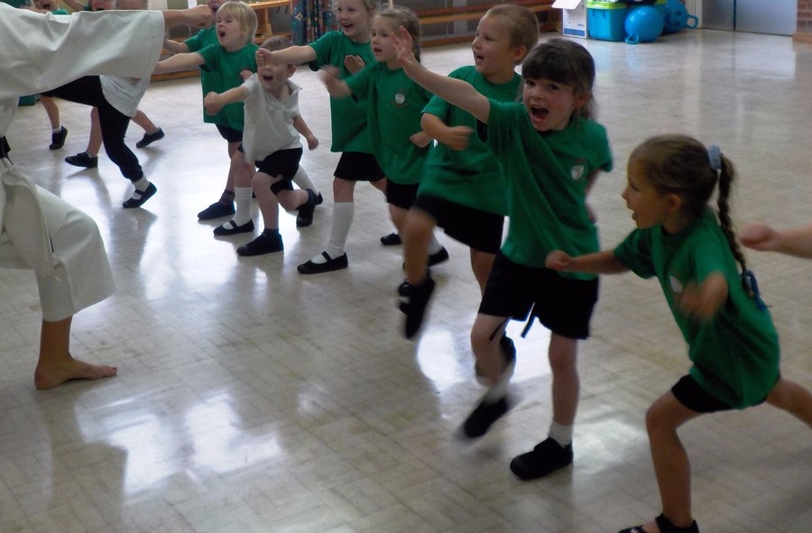 Class 1 Karate