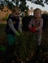DSCN2729.JPG