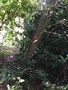 IMG_0073.JPG
