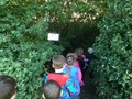 IMG_0084.JPG