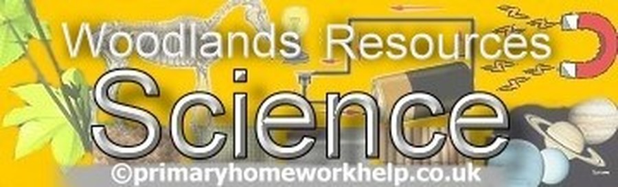 Woodlands Science Zone