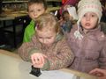 IMG_4308.JPG