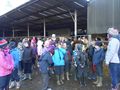 Weirs_Farm_002.jpg