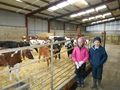 Weirs_Farm_042.jpg