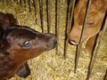 DSC06789.JPG